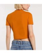 Dickies Îmbracaminte Dk0a4xpok641