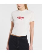 Dickies Îmbracaminte Dk0a4z8fc481 Center Logo