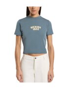 Dickies Îmbracaminte Dk0a4z8fg701 Center Logo
