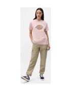 Dickies Îmbracaminte Hooper Bay Cargo
