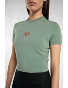 Dickies Îmbracaminte Maple