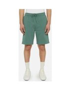 Dickies Îmbracaminte Mapleton short