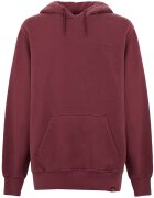 Dickies Îmbracaminte Plentywood Hoodie
