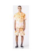Dickies Îmbracaminte Seatac short