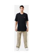 Dickies Îmbracaminte Valley grande pant