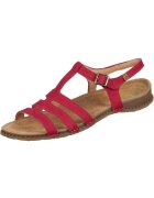 El Naturalista Pantofi N5803tibet