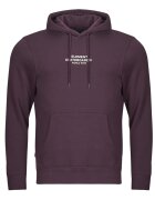 Element Îmbracaminte SKATEBOARD CO HOOD