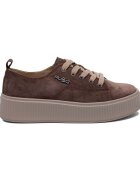 Filippo Pantofi DP612226DBR
