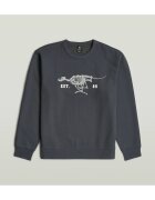 G-Star Raw Îmbracaminte Running Dog Back Gr R S