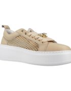 Gio+ Pantofi Pia342a