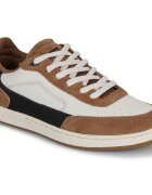 Globe Pantofi HOLAND