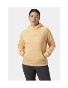 Helly Hansen Îmbracaminte Core Hoodie