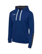 hummel Îmbracaminte Sweat à capuche Authentic Poly