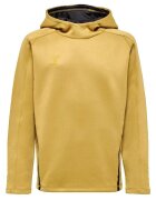 hummel Îmbracaminte Sweat à capuche Cima XK doré