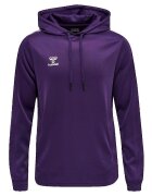 hummel Îmbracaminte Sweat à capuche Core XK Poly