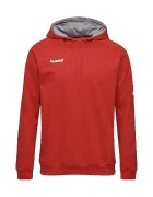 hummel Îmbracaminte Sweat à capuche HMLGO COTTON HOODIE rouge