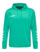 hummel Îmbracaminte Sweat à capuche Promo Poly vert