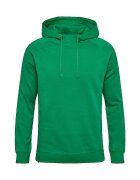 hummel Îmbracaminte Sweat à capuche Red Classic