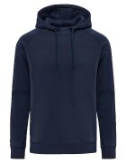 hummel Îmbracaminte Sweat à capuche Red classique