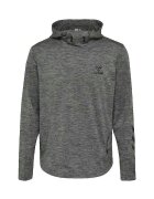 hummel Îmbracaminte Sweat-shirt Aston Hoodie
