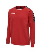 hummel Îmbracaminte Sweat-shirt Authentic Training