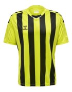 hummel Îmbracaminte T-shirt Core XK rayé
