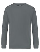 Jako Îmbracaminte Sweatshirt Organic gris