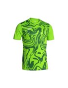Joma Îmbracaminte T-shirt Lion II vert