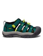 Keen Pantofi Newport H2
