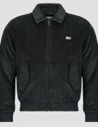 Lacoste Îmbracaminte Blouson aviateur rembourré en velours côtelé
