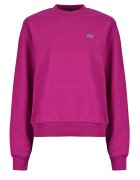 Lacoste Îmbracaminte Sweatshirt col rond en molleton