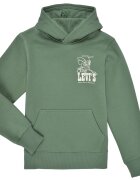 Levi's Îmbracaminte LVB LASSO IT UP HOODIE