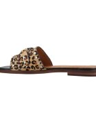 Lodi Pantofi Nu5507