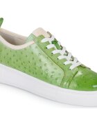 Melvin & Hamilton Pantofi AMBER 6