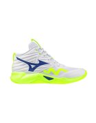 Mizuno Pantofi V1GA254539