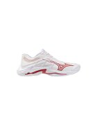 Mizuno Pantofi V1GC260073