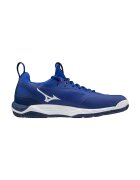 Mizuno Pantofi Wave Luminous
