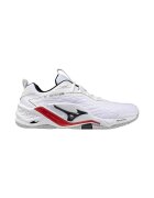 Mizuno Pantofi X1GA240059