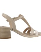 NeroGiardini Pantofi E513433d