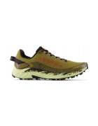 New Balance Pantofi Fuelcell Summit Unknown V4
