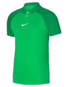 Nike Îmbracaminte Academy Pro