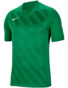 Nike Îmbracaminte Dri Fit Challange 3 Jr Tee