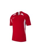 Nike Îmbracaminte JR Legend SS