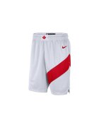 Nike Îmbracaminte Nba Toronto Raptors Home