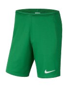 Nike Îmbracaminte Park III
