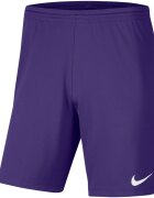 Nike Îmbracaminte Park III Shorts