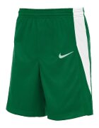 Nike Îmbracaminte Short Team Stock vert
