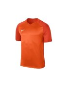 Nike Îmbracaminte T-shirt Trophy III col en V