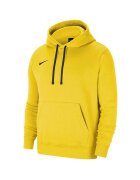 Nike Îmbracaminte Team Park 20 Hoodie