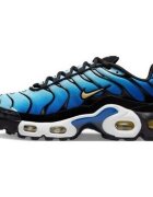 Nike Pantofi Air Max Plus